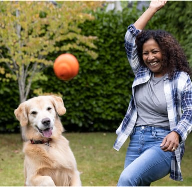 Dog playing fetch