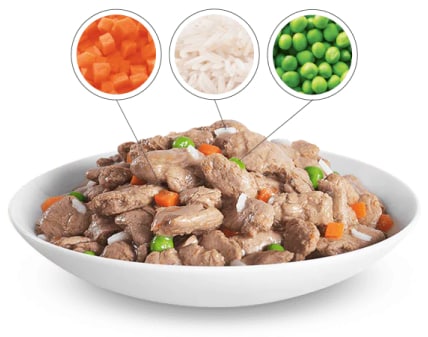 Food bowl