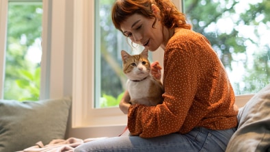 A cat with his owner in her arms