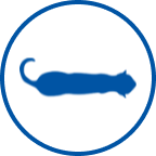 a healthy cat icon